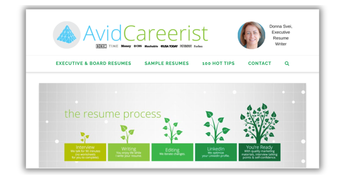 5 - Resumespice Avidcareerist Executive Resume Writing Services