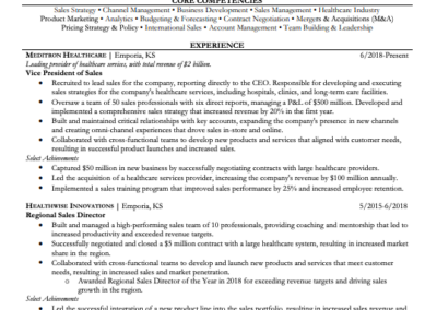 Vp of Sales Resume